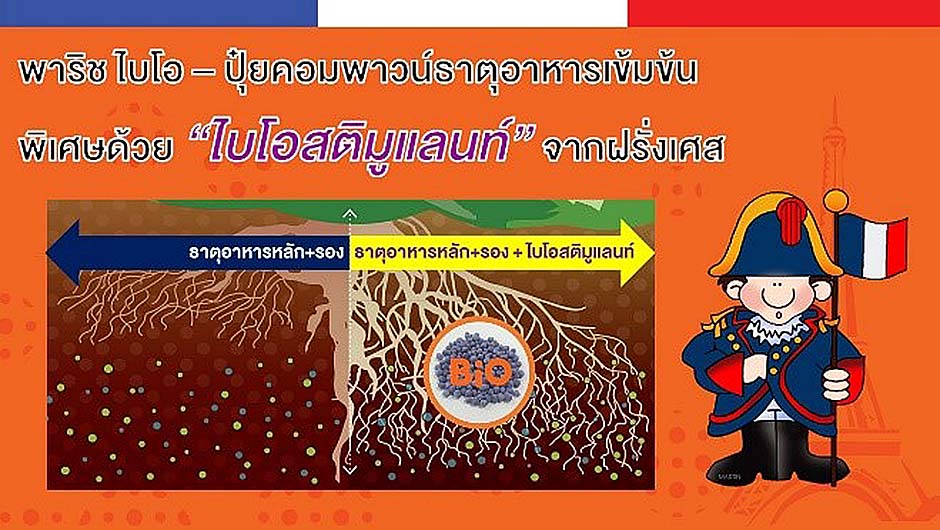 3.พาริช ไบโอ-ปุ๋ยคอมพาวน์ธาตุอาหารเข้มข้น