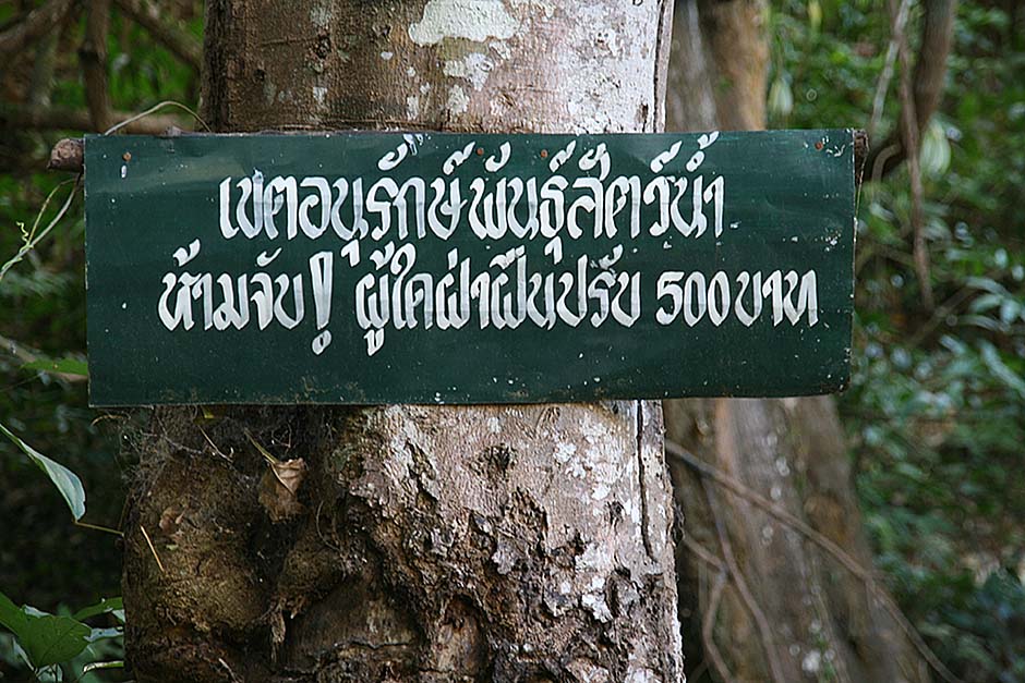 5.ภาพที่ 7 พื้นที่เขตอนุรักษ์ที่มีการปรับ
