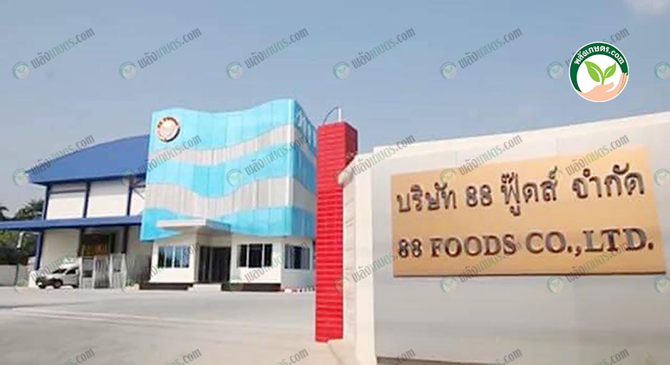 7.สำนักงาน บริษัท 88 ฟู๊ดส์ จำกัด