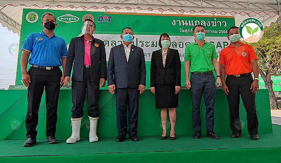กรมประมงจับมือ ตลาดไท เปิดตลาดสัตว์น้ำ GAP