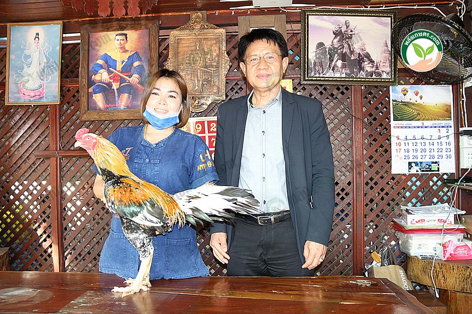 1.คุณบุศย์รินทร์ เฉยบรรดิษฐกุล ผู้เลี้ยงไก่ชน