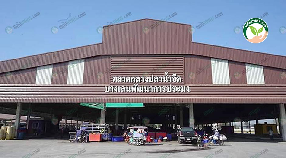 1.บรรยากาศด้านหน้าตลาดบางเลนธานี