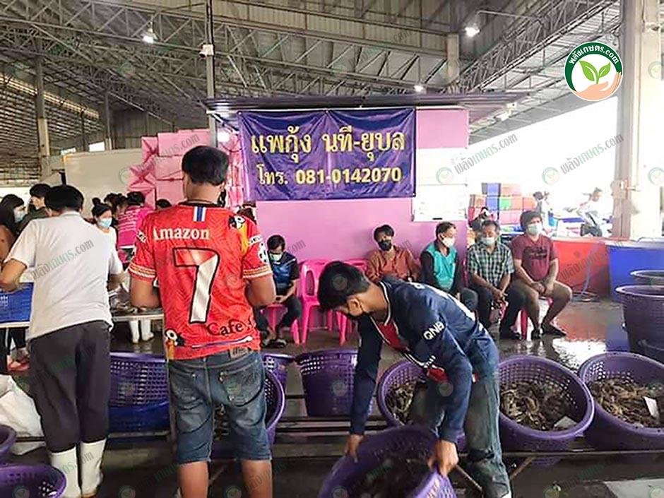 2.ลูกค้ามารอซื้อกุ้ง