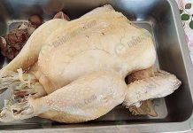 ดร.มานิจ ปฏิวัติพันธุกรรม ผลิต ไก่เนื้อ BL 120 สู่ผู้เลี้ยงมือโปร 5.ไก่หน้าอกแน่น เหนียว นุ่ม