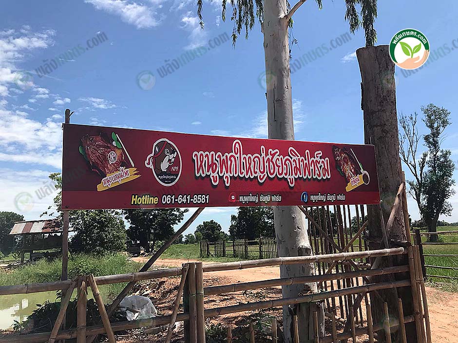 6.บรรยากาศหน้าฟาร์ม