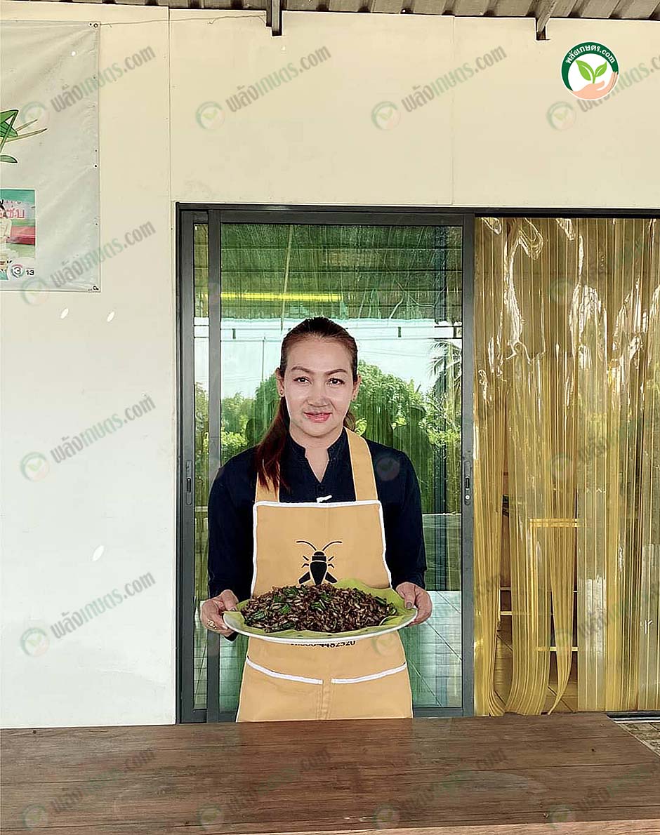 1.คุณชุติกาญจน์ เจื้อยแจ้ว เจ้าของฟาร์มจิ้งหรีดชุติกาญจน์