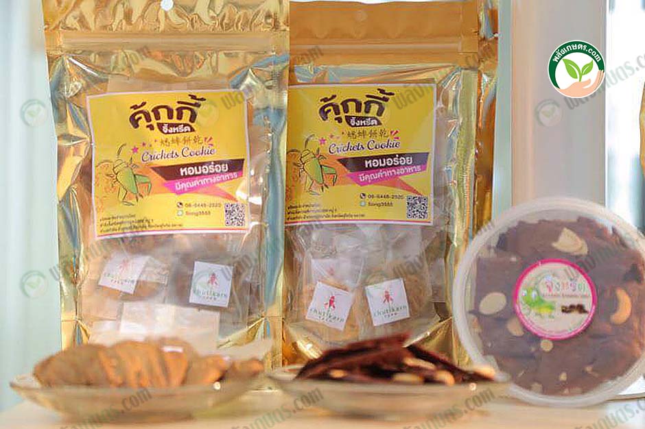 3.คุ้กกี้จิ้งหรีด