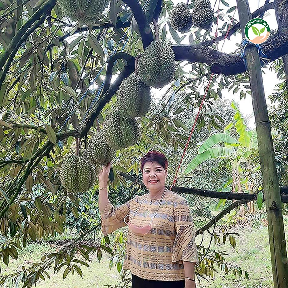 4.เจ้หนู