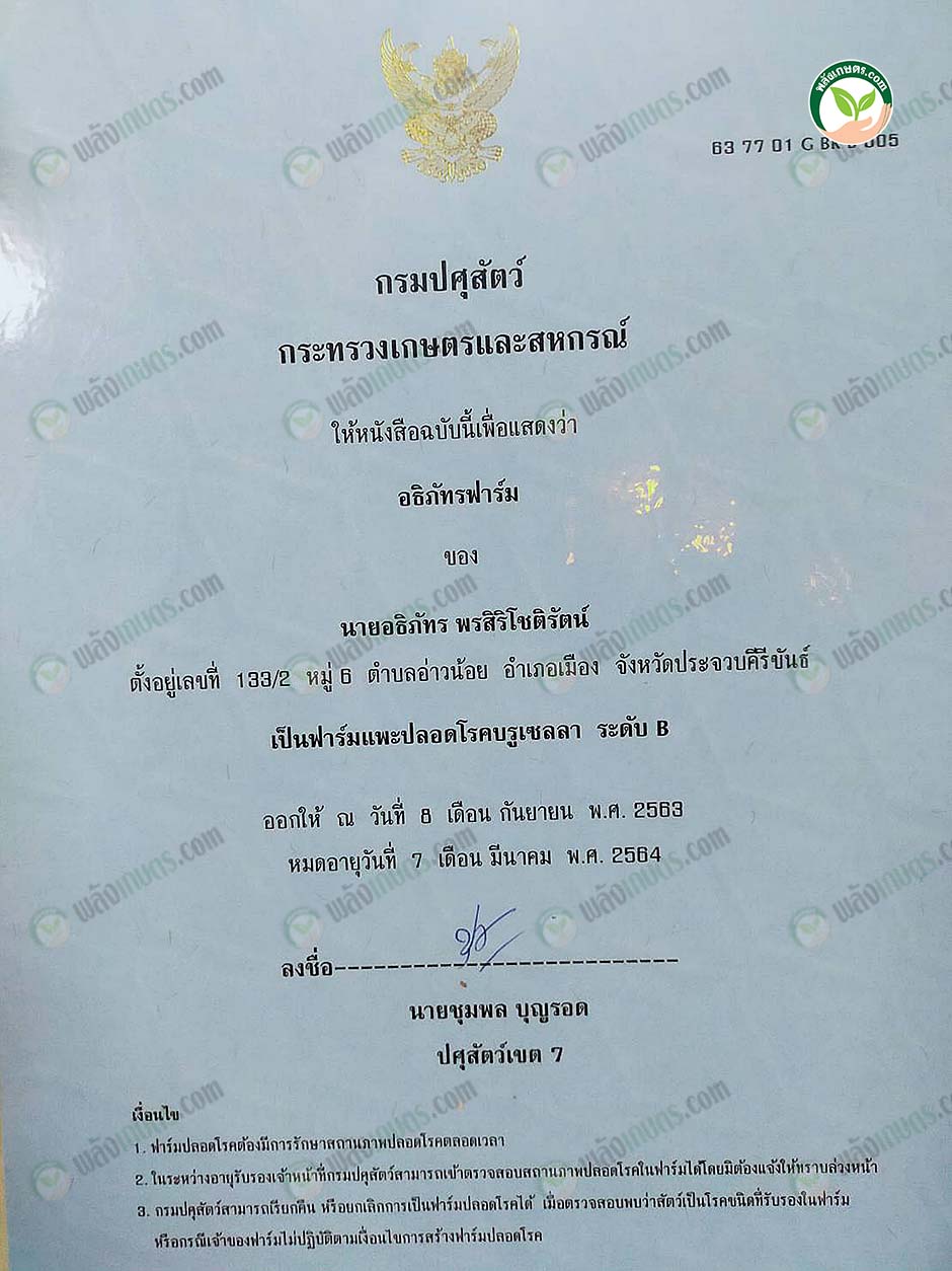 6.ใบฟาร์มปลอดโรคบรูเซลโลซิส