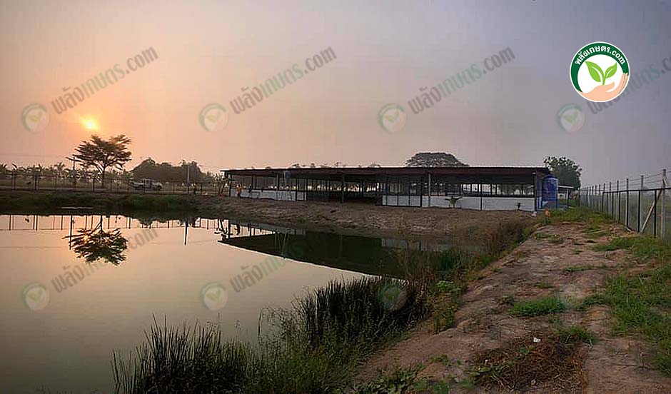 5.บรรยากาศด้านหน้าฟาร์มเป็ดไข่