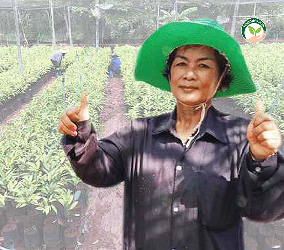 คุณประจวบ ละอออ่อน (ป้าตุ้ย)