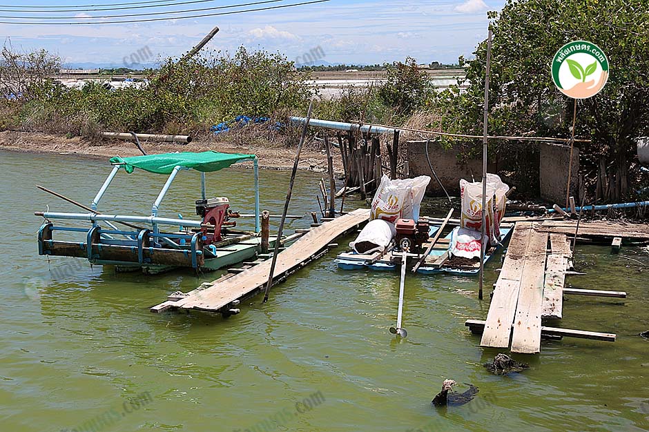 3.เรือชนิดต่างๆ ที่ใช้ในบ่อเลี้ยง