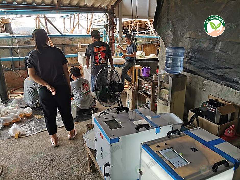 5.เกษตรกรทดลองใช้แล้ว ต่างได้รับผลตอบรับที่ดี