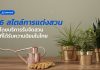 6 สไตล์การแต่งสวน โดยบริการรับจัดสวนที่ได้รับความนิยมในไทย