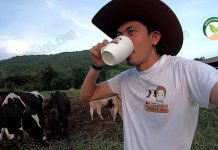 วรพงษ์ฟาร์ม เลี้ยงวัวนม โฮลสไตล์ฯ และ เจอร์ซี่ กำไรเพราะใช้แอป CowManage 1.บรรยากาศในฟาร์มวัวนม