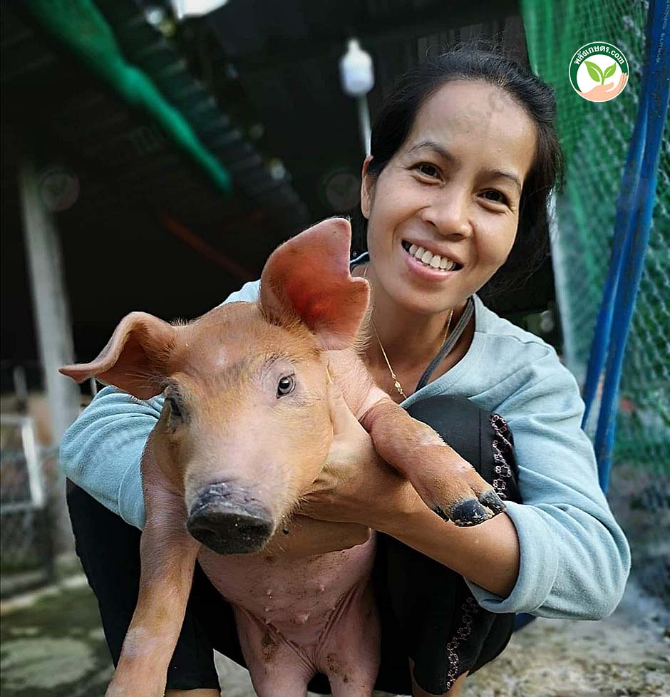 1.เกษตรกรผู้เลี้ยงหมู