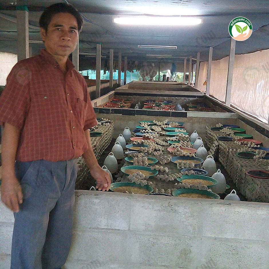 1.โรงเรือนจิ้งหรีด
