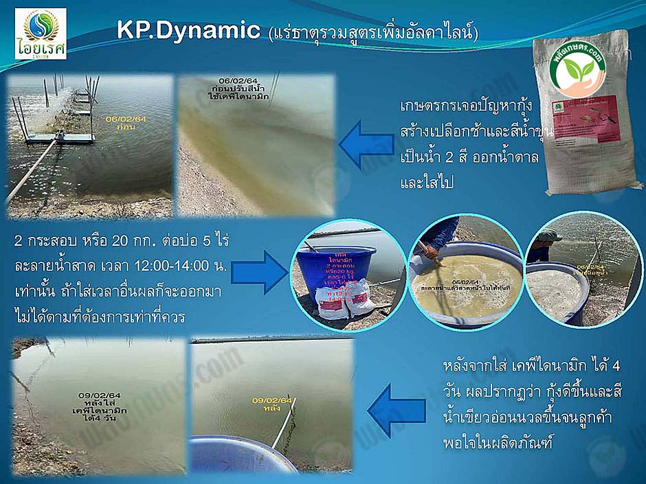 3.ขั้นตอนและวิธีการใช้แร่ธาตุรวม เคพีไดนามิก