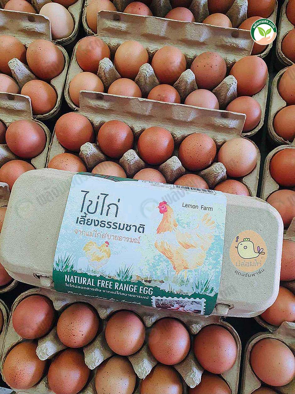 4.ผลผลิตไข่ไก่พร้อมจำหน่าย