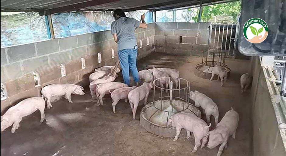 4.โรงเรือนหมู