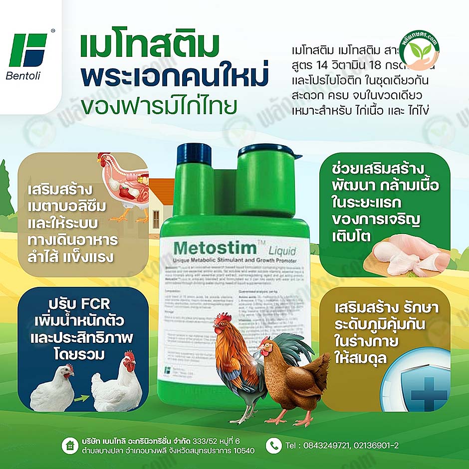 4.เมโทสติม4