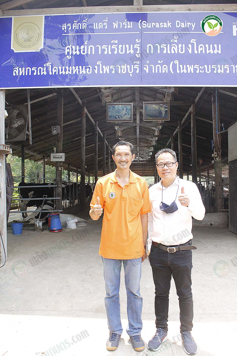 3.คุณสุรศักดิ์ กับ หมออำนาจ
