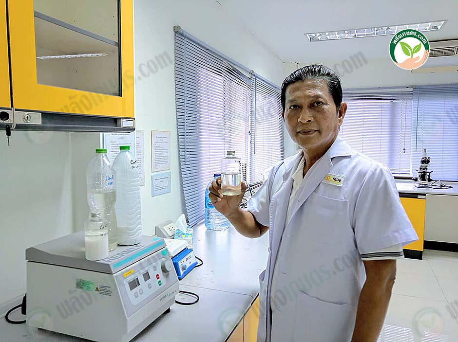 3.ทุเรียน3