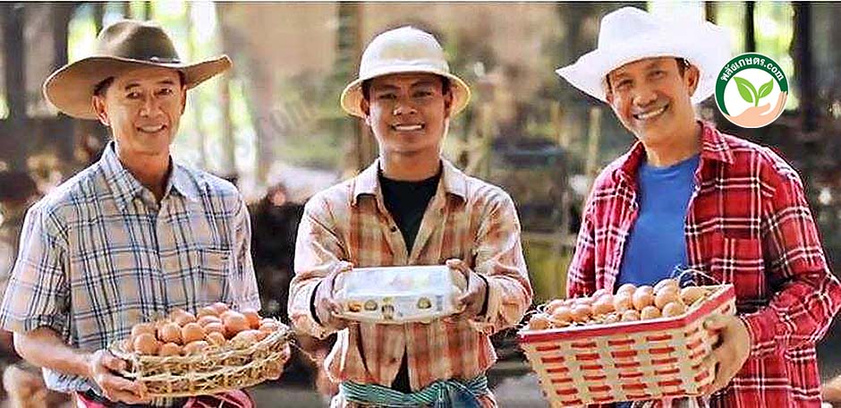5.ไข่ไก่ สด สะอาด คุณภาพดี