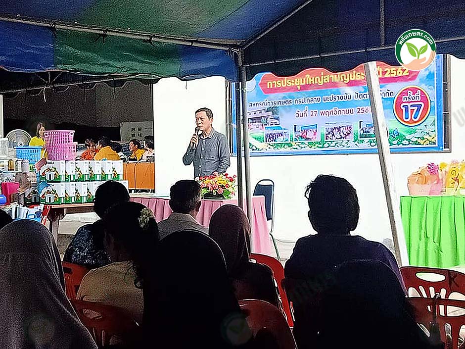 7.ทุเรียน7