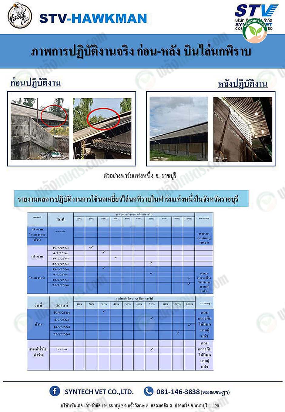 3.นกเหยี่ยว03