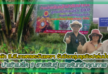 บริษัท ซี.พี.เกษตรตะวันแดงฯ จับมือกลุ่มธุรกิจปาล์มน้ำมัน นำเข้าเมล็ด 3 สายพันธุ์ เพาะต้นกล้าคุณภาพ