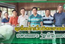 ผู้เลี้ยงไก่เนื้ออิสระรายย่อย จะตายเพราะ “ลูกไก่” แพง??