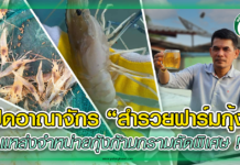 เปิดอาณาจักร “ สำรวยฟาร์มกุ้ง ” แหล่งจำหน่ายกุ้งก้ามกรามคัดพิเศษ !