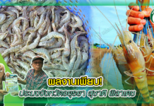 ผลงานเพียบ! ประมงจังหวัดอยุธยา สุชาติ พิลาเดช
