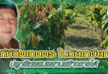 วิถีชีวิตเกษตร ในวัยเกษียณ ปลูกพืชผสมผสานสร้างรายได้