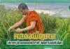 หลวงพี่อุเทน ปราชญ์เกษตรระดับชาติ ผลงานระดับโลก