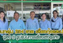 รวมกลุ่ม 254 ราย เลี้ยงกุ้งและปลา ชูธง 3 รูปแบบการเลี้ยงเชิงธุรกิจ