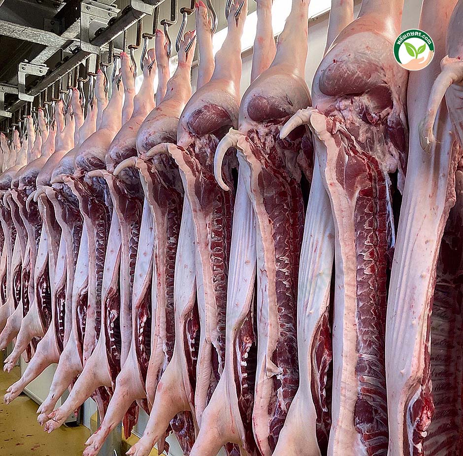 เนื้อหมู