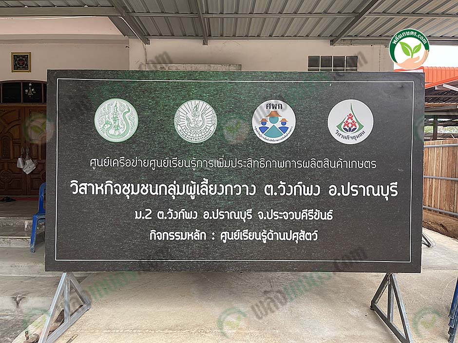 5.กวาง05