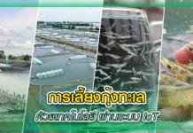 การเลี้ยง กุ้งทะเล ด้วยเทคโนโลยี ผ่านระบบ IoT