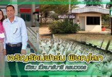 เจริญรัตน์ฟาร์ม พิษณุโลก เซียน เป็ดบาร์บารี ครบวงจร