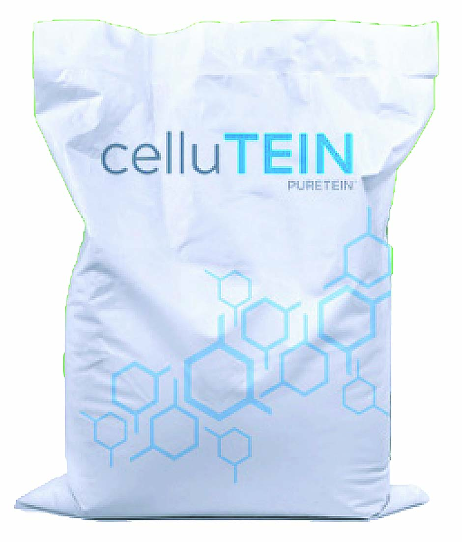 1.celluTEIN01