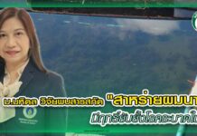 ม.มหิดล วิจัยพบสารสกัด “สาหร่ายผมนาง” มีฤทธิ์ยับยั้งโรคระบาดในกุ้ง