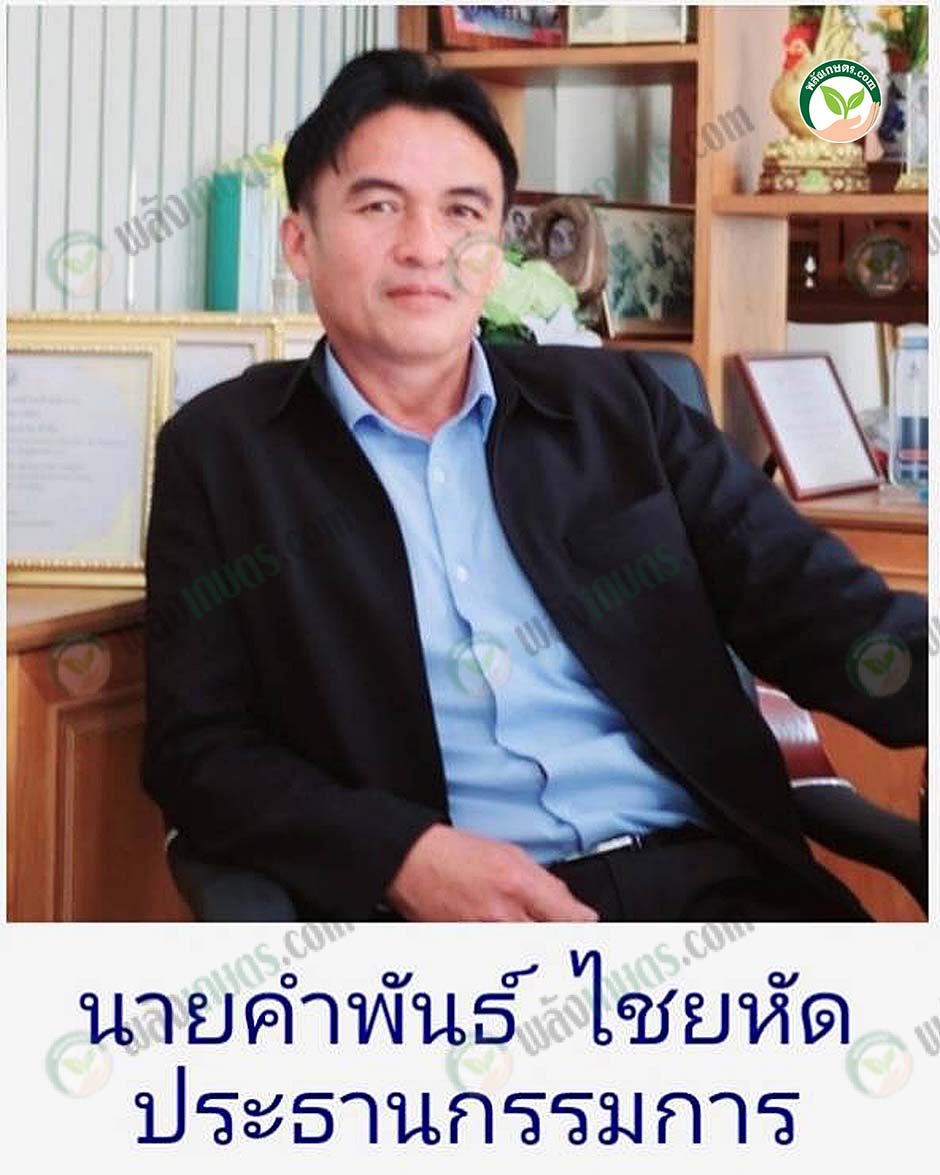 3.นายคำพัน ไชยหัด ประธานกรรมการ