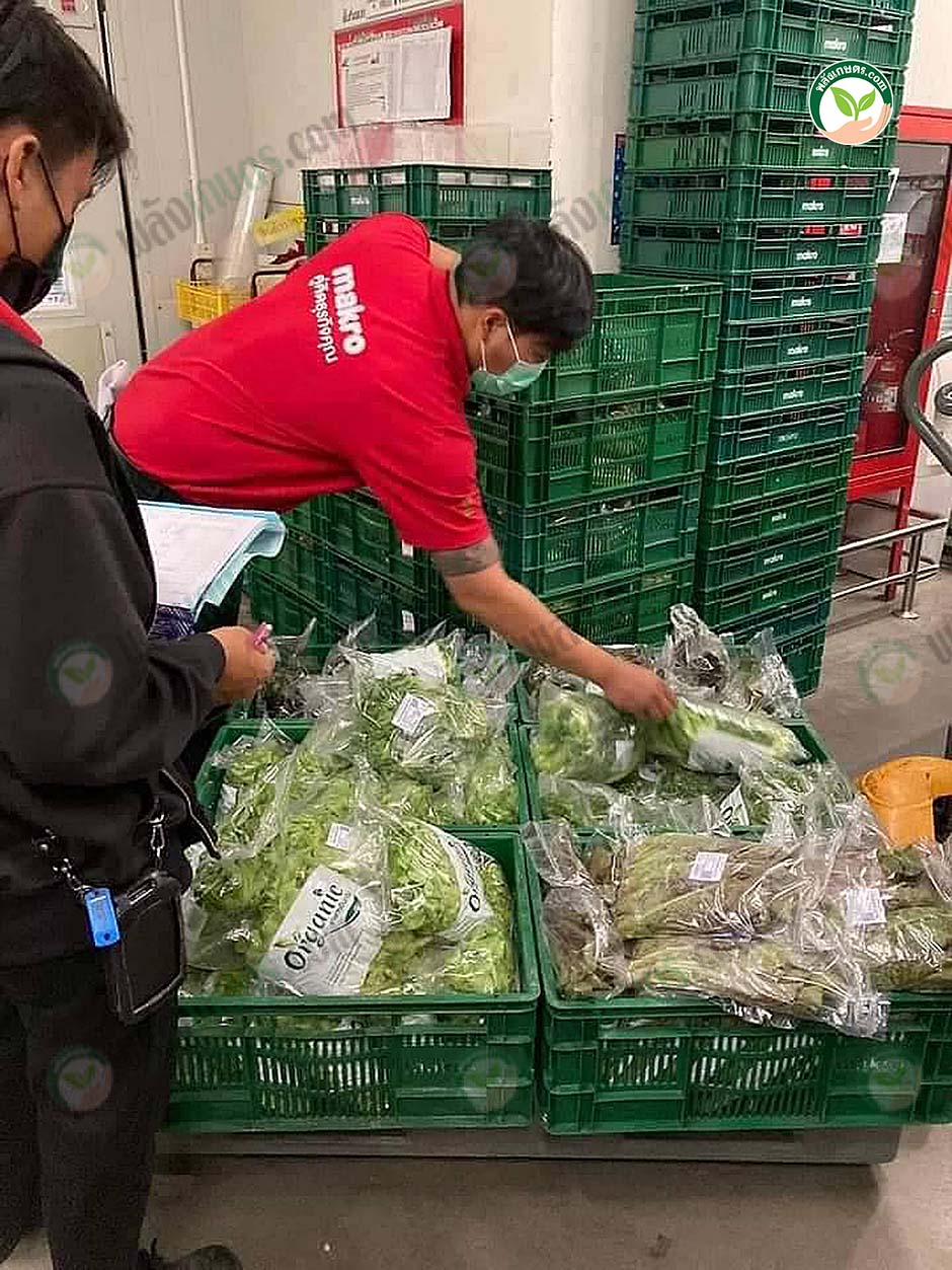 6.การจัดส่งผักส่งห้าง makro
