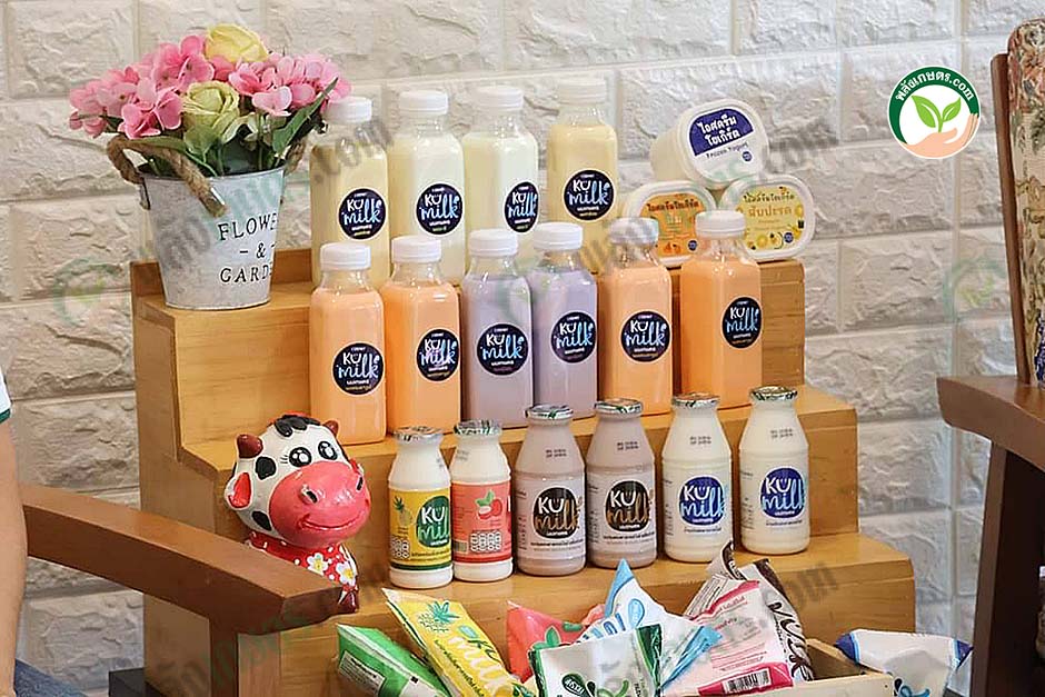 6.ผลิตภัณฑ์นม KU milk