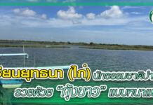 เซียนยุทธนา (ไก่) นักธรรมชาติบำบัด รวยด้วย “กุ้งขาว” แบบหนาแน่น