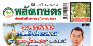 นิตยสารพลังเกษตร ฉบับ 29