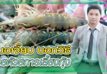 หมอเจี๊ยบ บอกวิธี รวยด้วยการเลี้ยงกุ้ง สัตว์น้ำ 405 - หมอเจี๊ยบ