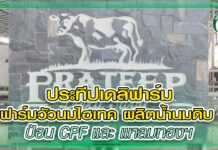 ประทีปเดลิฟาร์ม ฟาร์มวัวนมไฮเทค ผลิตน้ำนมดิบ ป้อน CPF และ แหลมทองฯ สัตว์บก 360 - ประทีปเดลิฟาร์ม